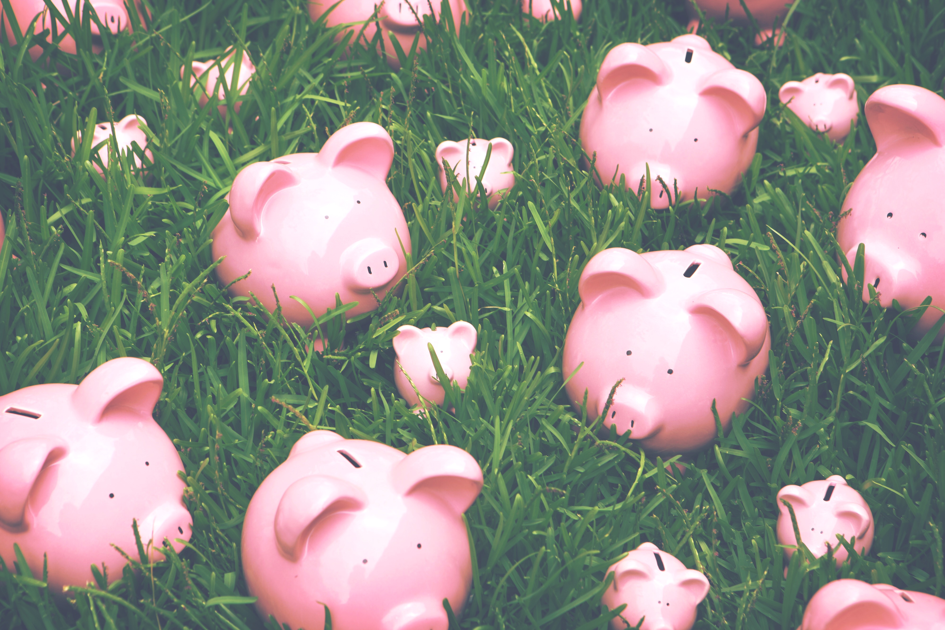TSB Joint bank account survey