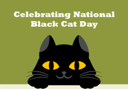 ACANA Pet Food - Celebrating National Black Cat Day